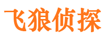 泸县私家侦探